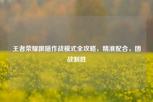 王者荣耀跟随作战模式全攻略，精准配合，团战制胜