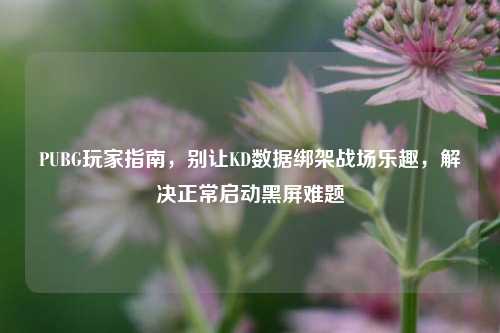 PUBG玩家指南,别让KD数据绑架战场乐趣,解决正常启动黑屏难题
