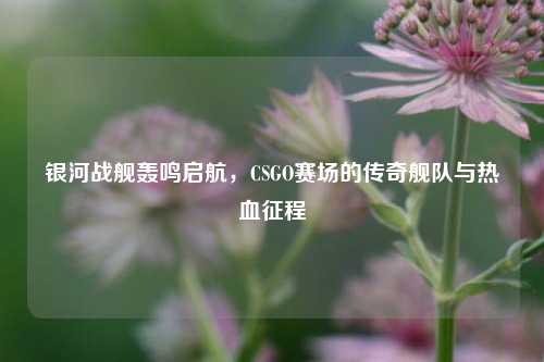 银河战舰轰鸣启航,CSGO赛场的传奇舰队与热血征程