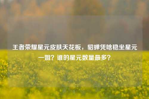 王者荣耀星元皮肤天花板，貂蝉凭啥稳坐星元一姐？谁的星元数量最多？