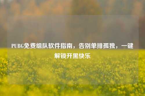 PUBG免费组队软件指南，告别单排孤独，一键解锁开黑快乐