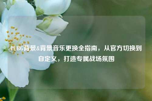 PUBG背景&背景音乐更换全指南,从官方切换到自定义,打造专属战场氛围