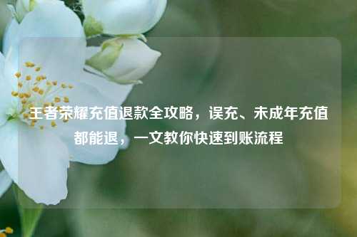 王者荣耀充值退款全攻略，误充、未成年充值都能退，一文教你快速到账流程