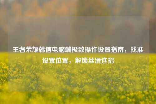 王者荣耀韩信电脑端极致操作设置指南，找准设置位置，解锁丝滑连招