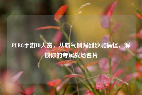 PUBG手游ID大赏,从霸气侧漏到沙雕搞怪,解锁你的专属战场名片