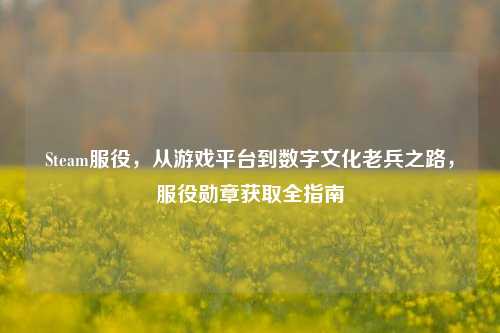 Steam服役，从游戏平台到数字文化老兵之路，服役勋章获取全指南