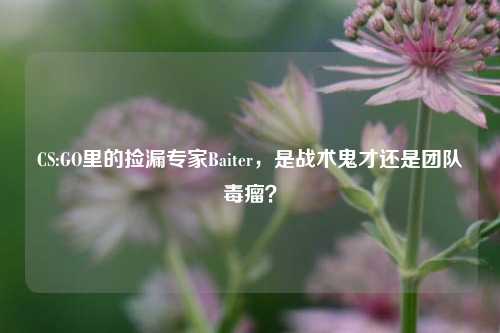 CS:GO里的捡漏专家Baiter，是战术鬼才还是团队毒瘤？