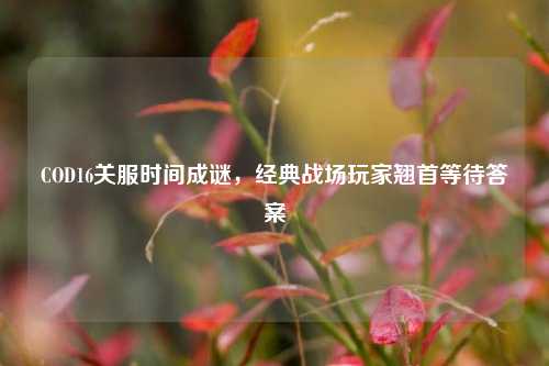COD16关服时间成谜，经典战场玩家翘首等待答案