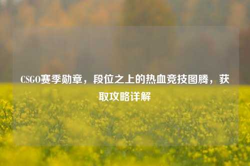 CSGO赛季勋章，段位之上的热血竞技图腾，获取攻略详解