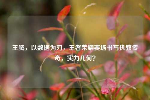 王腾,以数据为刃,王者荣耀赛场书写执教传奇,实力几何?