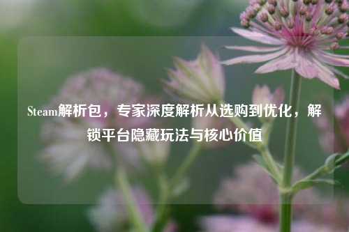 Steam解析包，专家深度解析从选购到优化，解锁平台隐藏玩法与核心价值