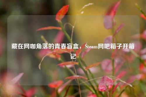 藏在网咖角落的青春盲盒,Steam网吧箱子开箱记