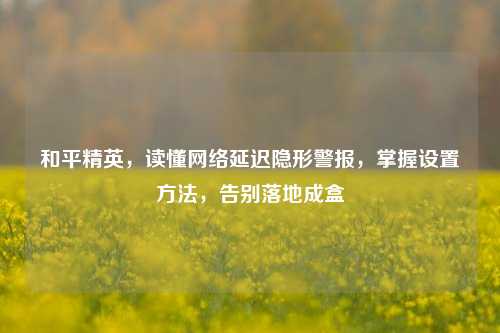 和平精英，读懂网络延迟隐形警报，掌握设置方法，告别落地成盒