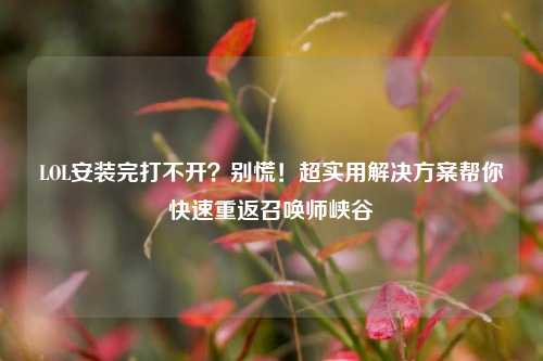 LOL安装完打不开？别慌！超实用解决方案帮你快速重返召唤师峡谷