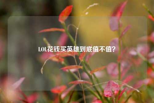 LOL花钱买英雄到底值不值?