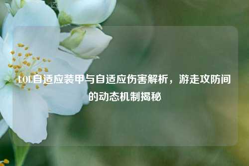 LOL自适应装甲与自适应伤害解析，游走攻防间的动态机制揭秘