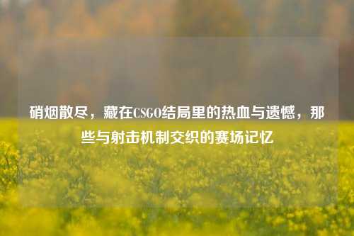 硝烟散尽,藏在CSGO结局里的热血与遗憾,那些与射击机制交织的赛场记忆