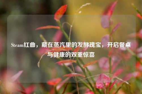 Steam红曲，藏在蒸汽里的发酵瑰宝，开启餐桌与健康的双重惊喜