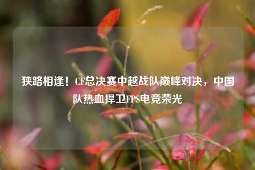 狭路相逢!CF总决赛中越战队巅峰对决,中国队热血捍卫FPS电竞荣光