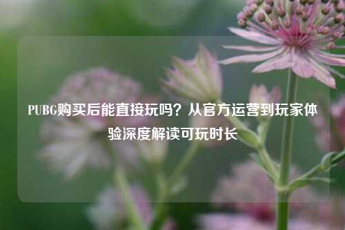 PUBG购买后能直接玩吗？从官方运营到玩家体验深度解读可玩时长