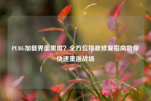 PUBG加载界面黑屏？全方位排查修复指南助你快速重返战场