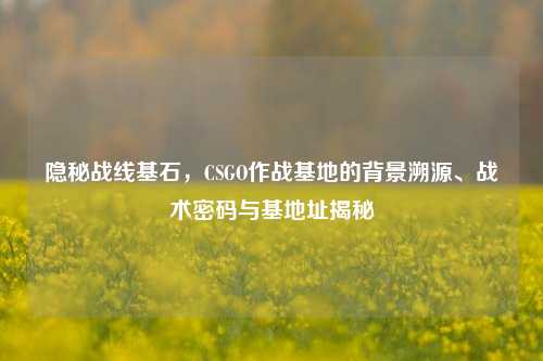 隐秘战线基石，CSGO作战基地的背景溯源、战术密码与基地址揭秘