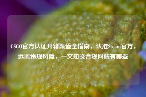 CSGO官方认证开箱渠道全指南,认准Steam官方,远离违规风险,一文知晓合规网站有哪些
