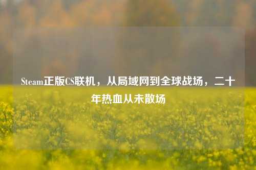 Steam正版CS联机，从局域网到全球战场，二十年热血从未散场