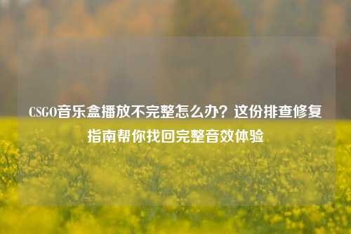 CSGO音乐盒播放不完整怎么办？这份排查修复指南帮你找回完整音效体验