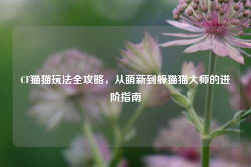 CF猫猫玩法全攻略，从萌新到躲猫猫大师的进阶指南