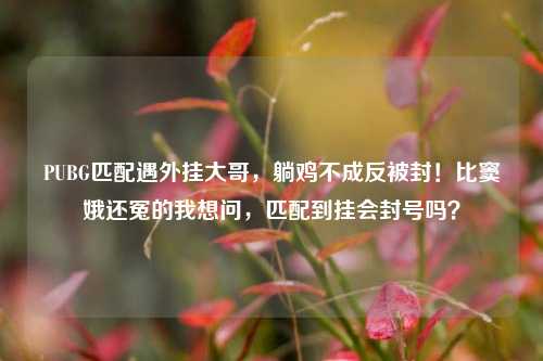 PUBG匹配遇外挂大哥,躺鸡不成反被封!比窦娥还冤的我想问,匹配到挂会封号吗?