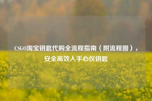 CSGO淘宝钥匙代购全流程指南（附流程图），安全高效入手心仪钥匙