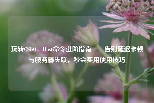 玩转CSGO,Host命令进阶指南——告别延迟卡顿与服务器失联,秒会实用使用技巧