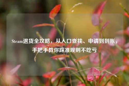 Steam退货全攻略，从入口查找、申请到到账，手把手教你踩准规则不吃亏