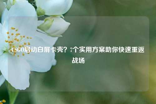 CSGO启动白屏卡壳？7个实用方案助你快速重返战场