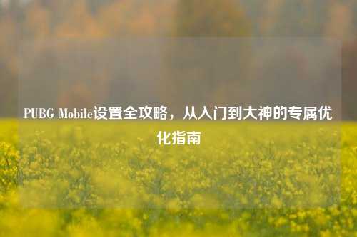 PUBG Mobile设置全攻略，从入门到大神的专属优化指南
