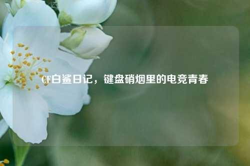 CF白鲨日记，键盘硝烟里的电竞青春