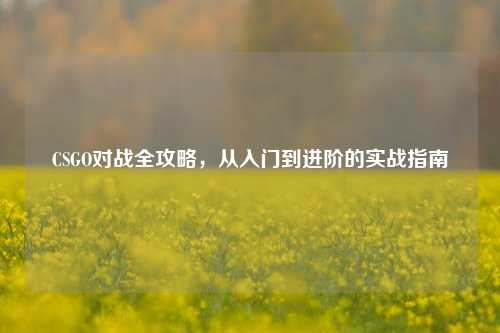 CSGO对战全攻略，从入门到进阶的实战指南