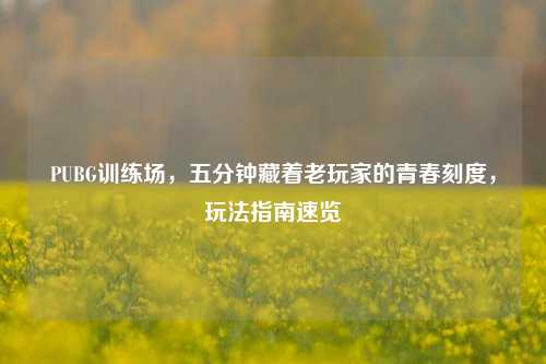 PUBG训练场,五分钟藏着老玩家的青春刻度,玩法指南速览
