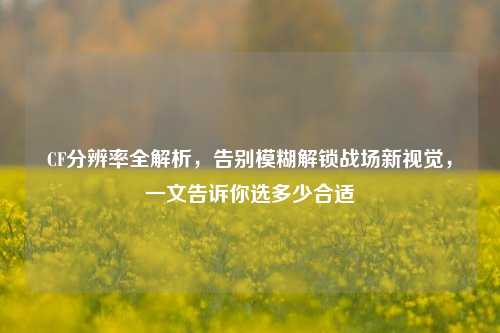 CF分辨率全解析，告别模糊解锁战场新视觉，一文告诉你选多少合适