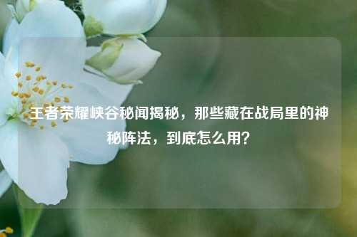 王者荣耀峡谷秘闻揭秘，那些藏在战局里的神秘阵法，到底怎么用？