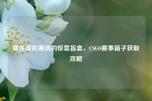 藏在虚拟赛场的惊喜盲盒，CSGO赛事箱子获取攻略