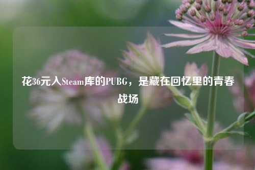 花36元入Steam库的PUBG，是藏在回忆里的青春战场