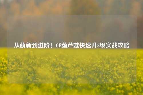 从萌新到进阶！CF葫芦娃快速升5级实战攻略