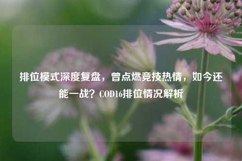 排位模式深度复盘,曾点燃竞技热情,如今还能一战?COD16排位情况解析