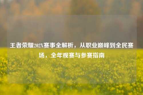 王者荣耀202X赛事全解析,从职业巅峰到全民赛场,全年观赛与参赛指南