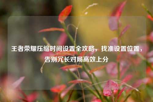 王者荣耀压缩时间设置全攻略，找准设置位置，告别冗长对局高效上分