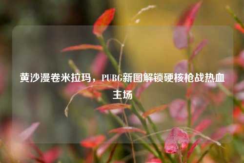 黄沙漫卷米拉玛,PUBG新图解锁硬核枪战热血主场