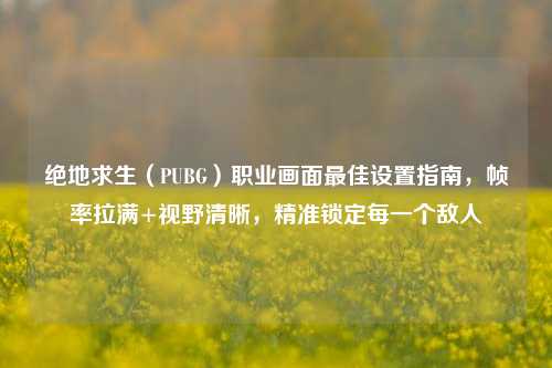 绝地求生（PUBG）职业画面最佳设置指南，帧率拉满+视野清晰，精准锁定每一个敌人