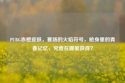 PUBG赤橙皮肤，赛场的火焰符号，枪身里的青春记忆，究竟在哪里获得？